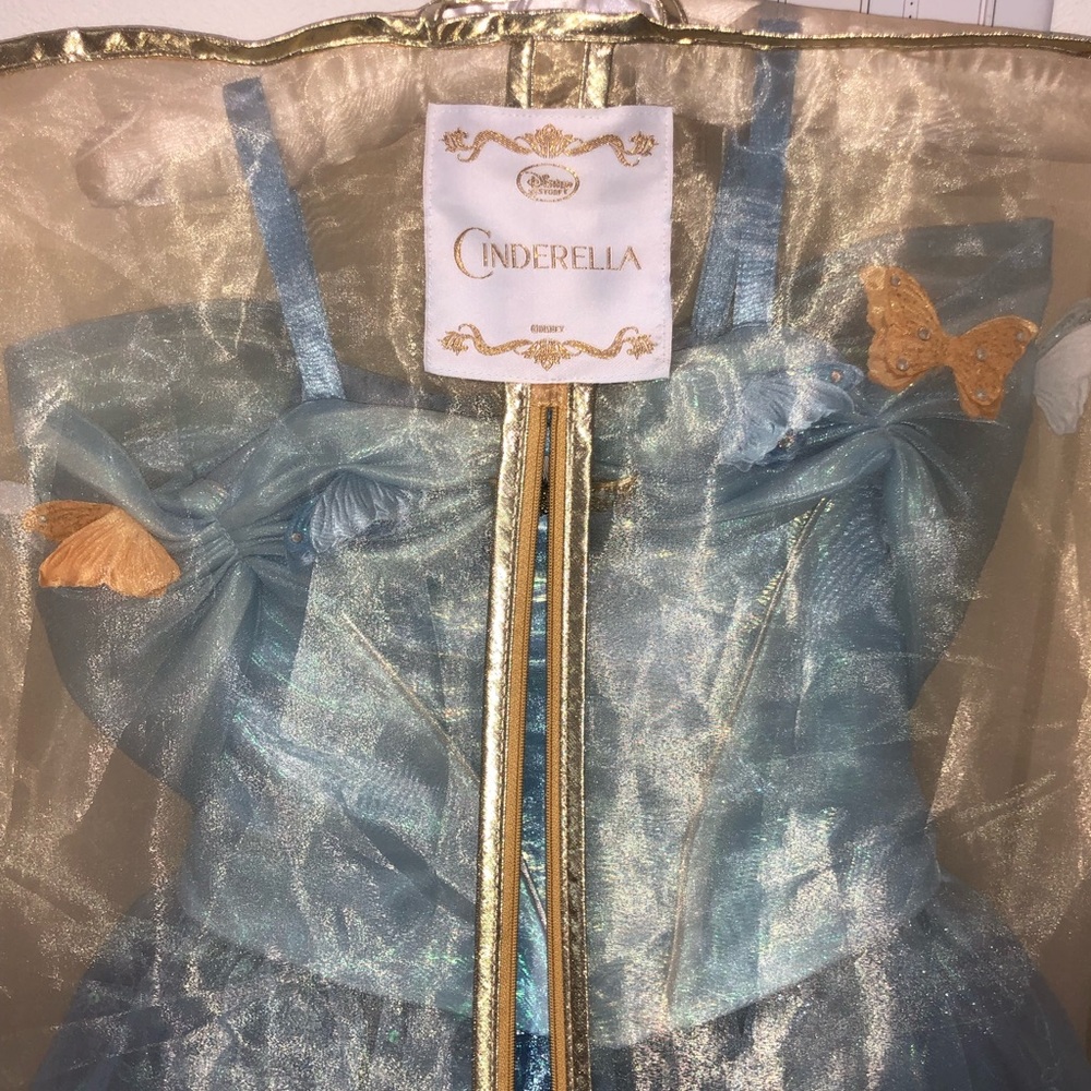 Cinderella Princess Dress